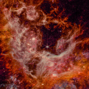 Tarantula Nebula, NGC 2070, JWST