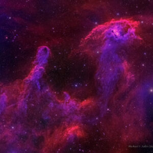 NGC 1788, Cosmic Bat,DR350