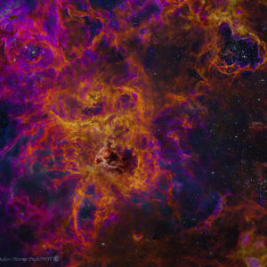 Tarantula Nebula, NGC 2070,DR350 & JWST