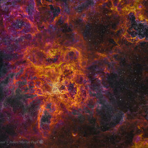 Tarantula Nebula, NGC 2070,DR350